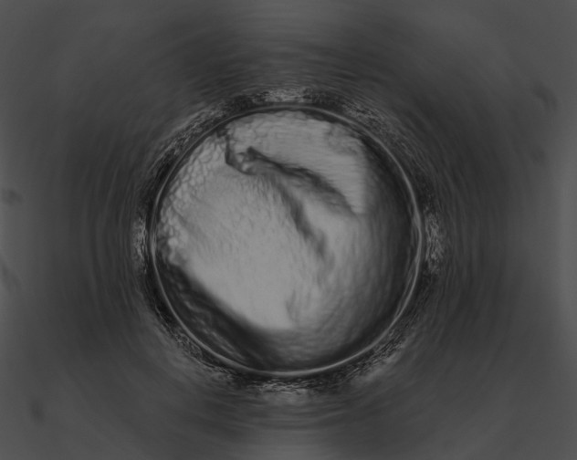 X0000090500648200708031210