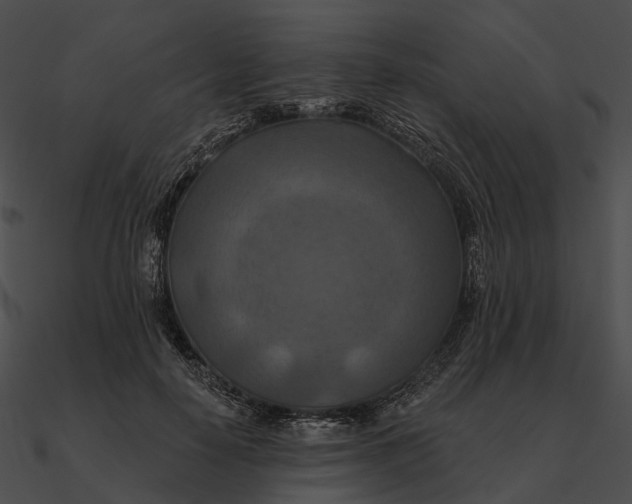 X0000090500650200708031210