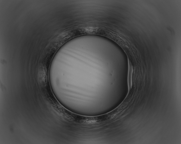 X0000090500651200708031210