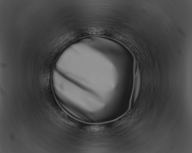 X0000090500652200708031210