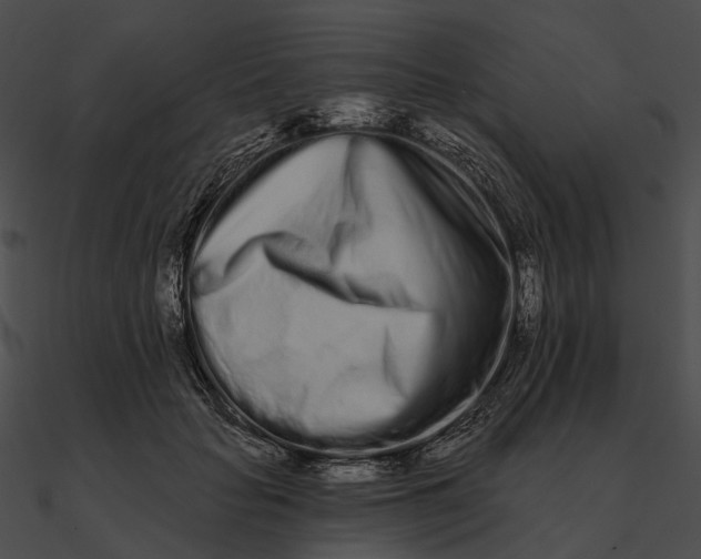 X0000090500653200708031210