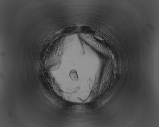 X0000090500654200708031210