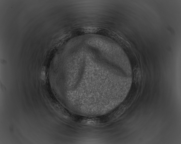 X0000090500655200708031210