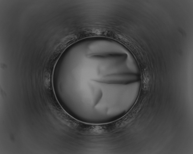 X0000090500656200708031210