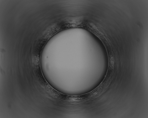 X0000090500657200708031210