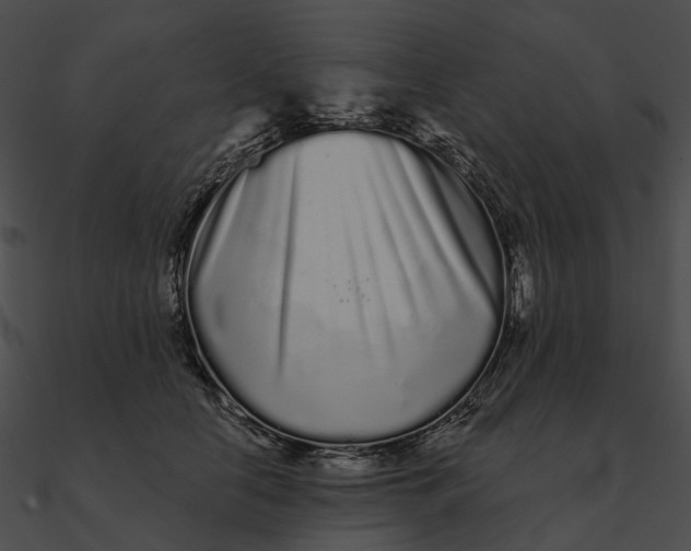 X0000090500658200708031210