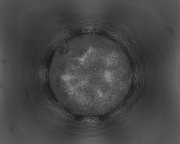 X0000090500659200708031210