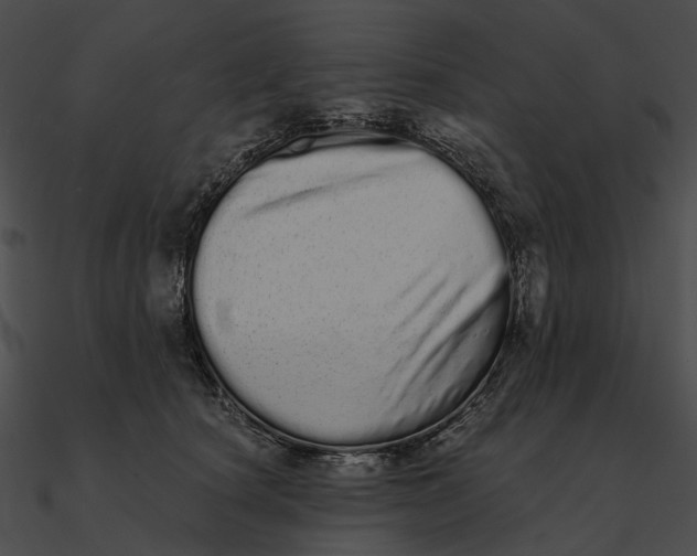 X0000090500660200708031210