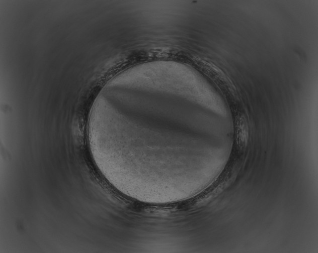 X0000090500661200708031210