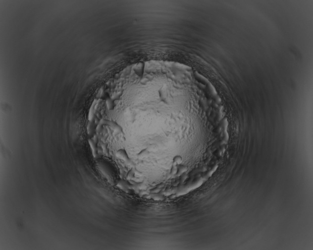 X0000090500663200708031210