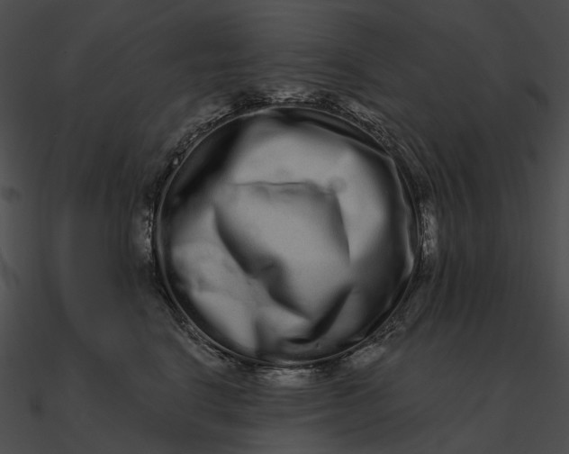 X0000090500664200708031210