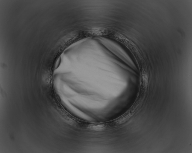 X0000090500665200708031210