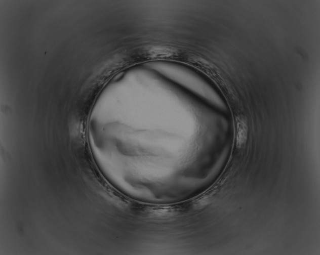 X0000090500666200708031210