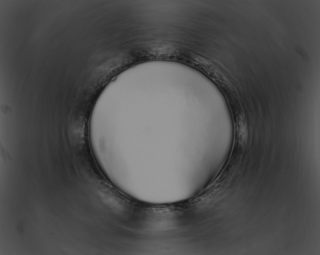 X0000090500668200708031210