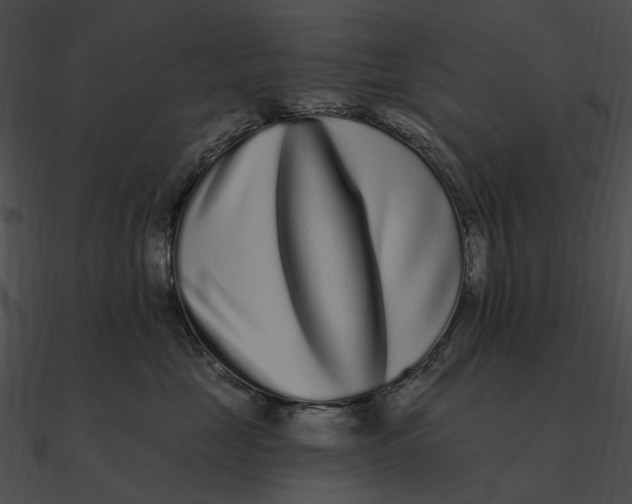 X0000090500669200708031210