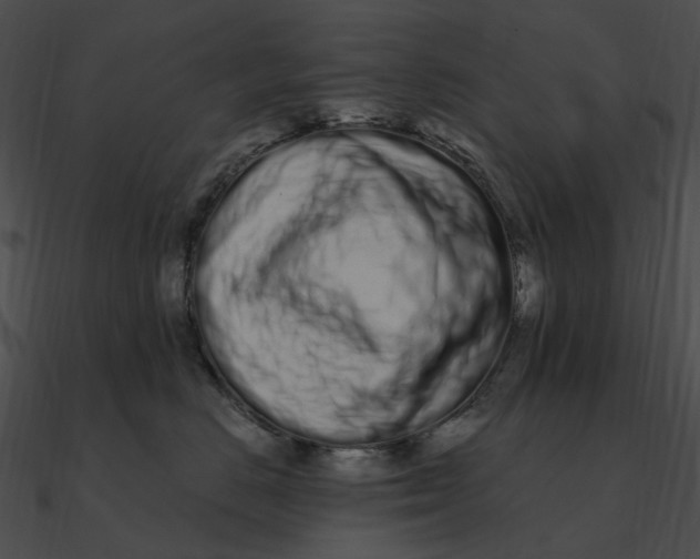 X0000090500670200708031210