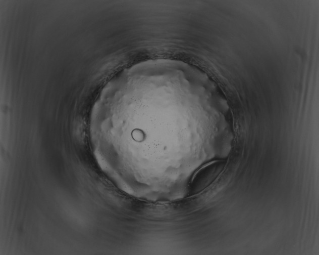 X0000090500671200708031210