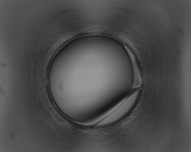 X0000090500673200708031210