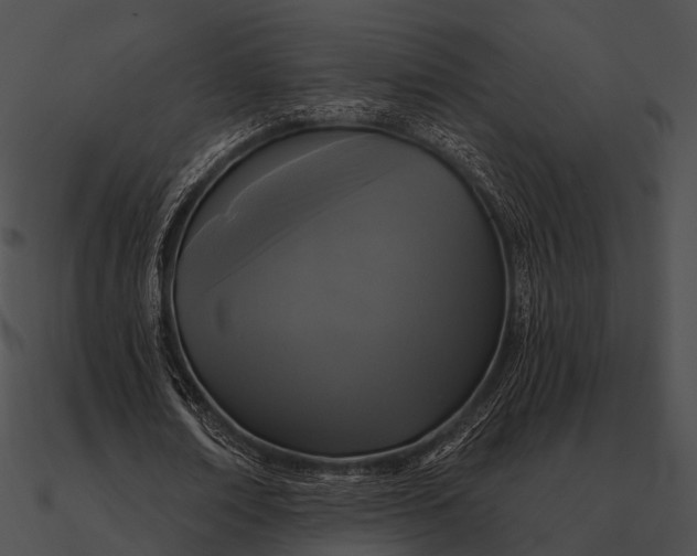 X0000090500674200708031210