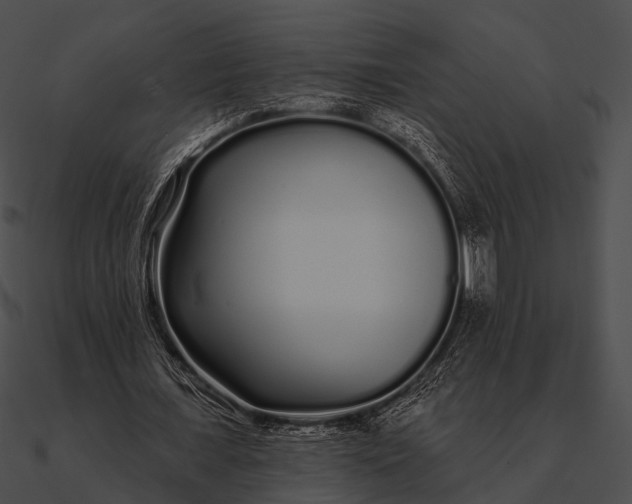 X0000090500675200708031209