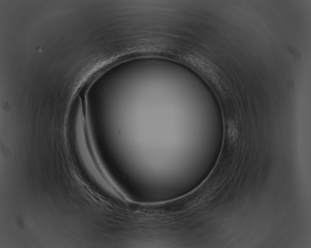 X0000090500676200708031209