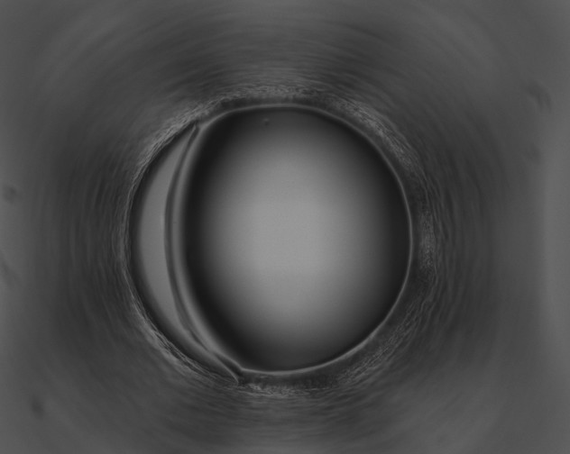 X0000090500677200708031209