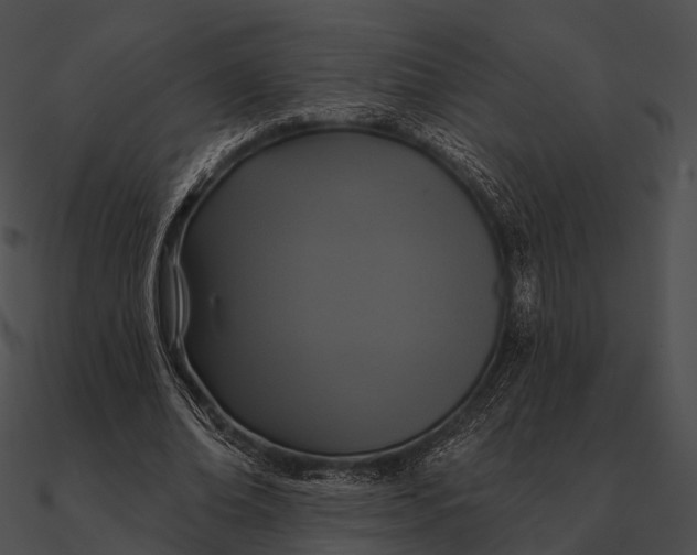 X0000090500678200708031209