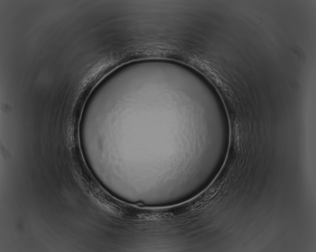 X0000090500679200708031209