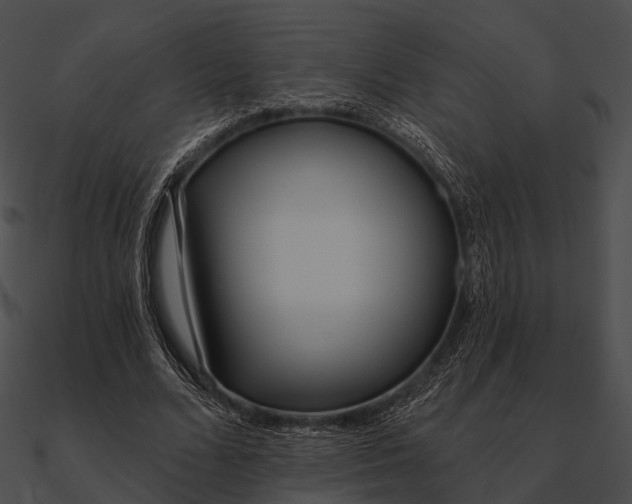 X0000090500680200708031209