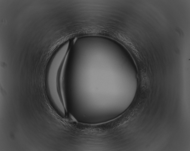 X0000090500681200708031209