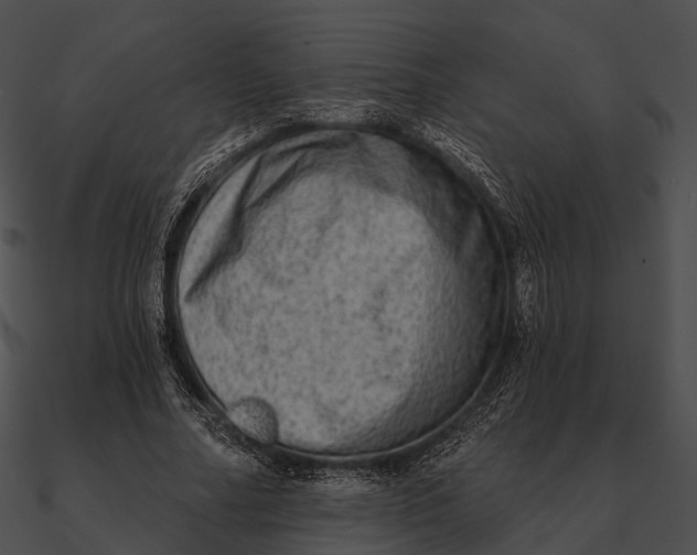 X0000090500682200708031209