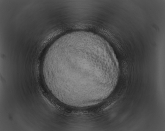 X0000090500683200708031209