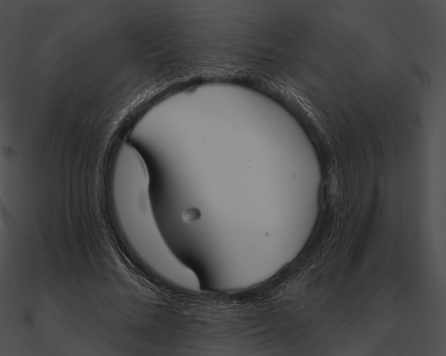 X0000090500684200708031209