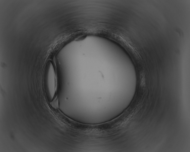 X0000090500685200708031209