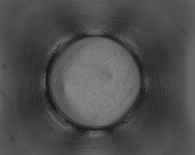 X0000090500686200708031209