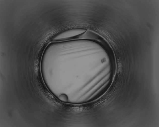 X0000090500687200708031209