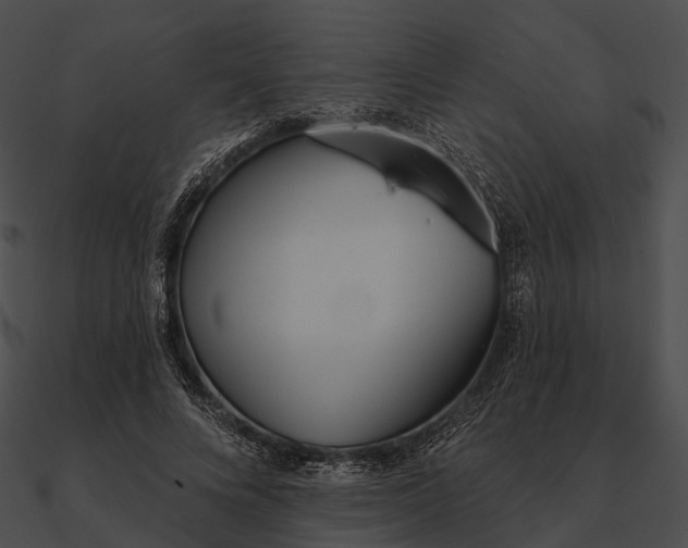 X0000090500688200708031209