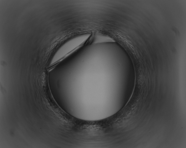 X0000090500689200708031209