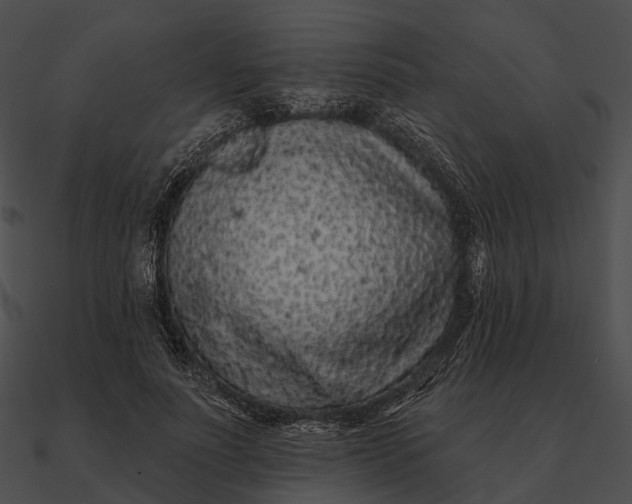 X0000090500691200708031209