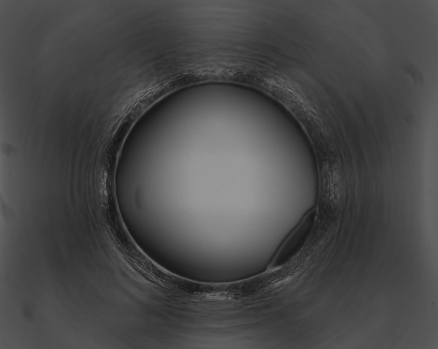 X0000090500692200708031209