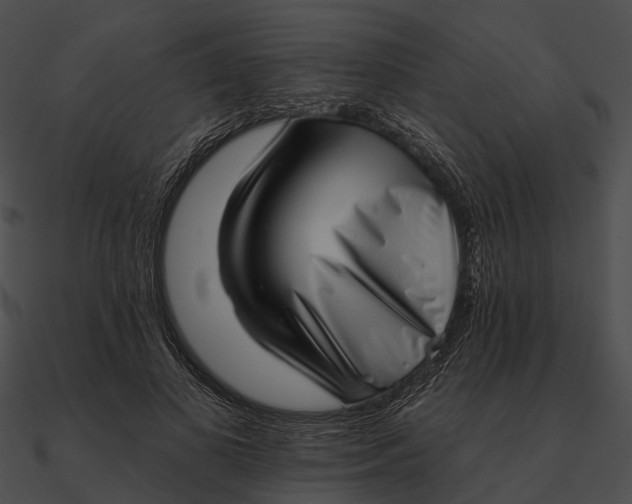 X0000090500693200708031209