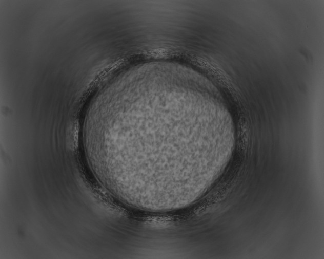 X0000090500694200708031209