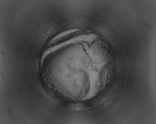 X0000090500695200708031209