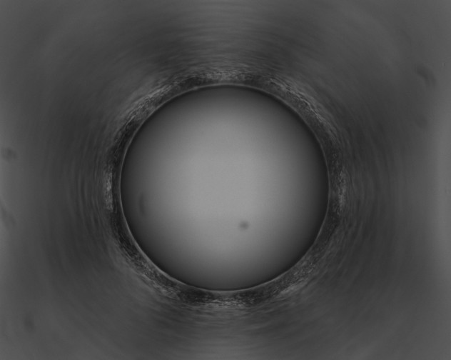 X0000090500696200708031209