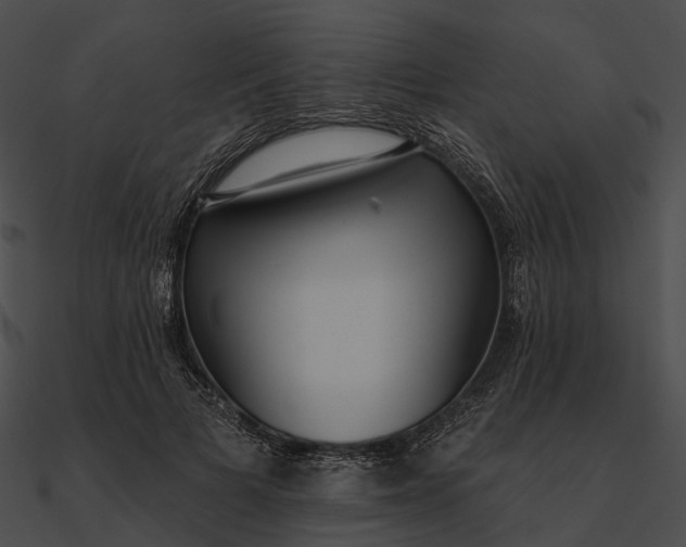 X0000090500697200708031209