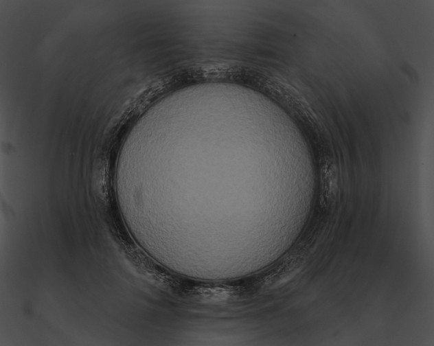 X0000090500698200708031209