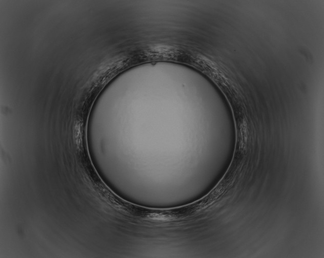 X0000090500699200708031209