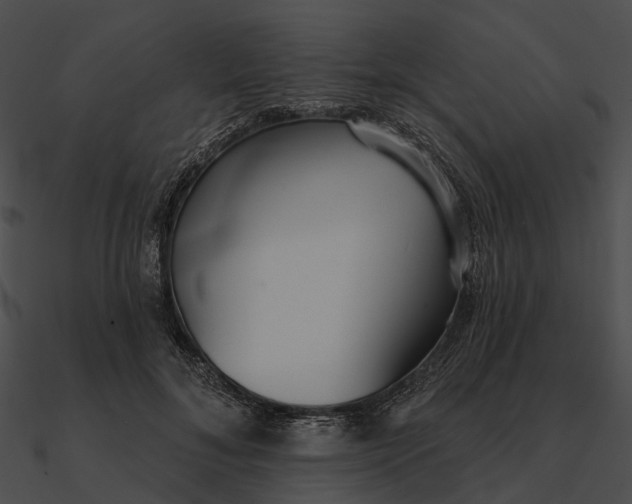 X0000090500700200708031209