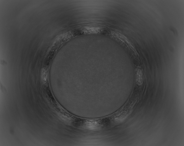 X0000090500701200708031209