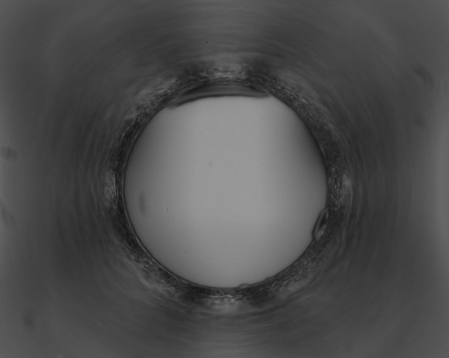 X0000090500704200708031209